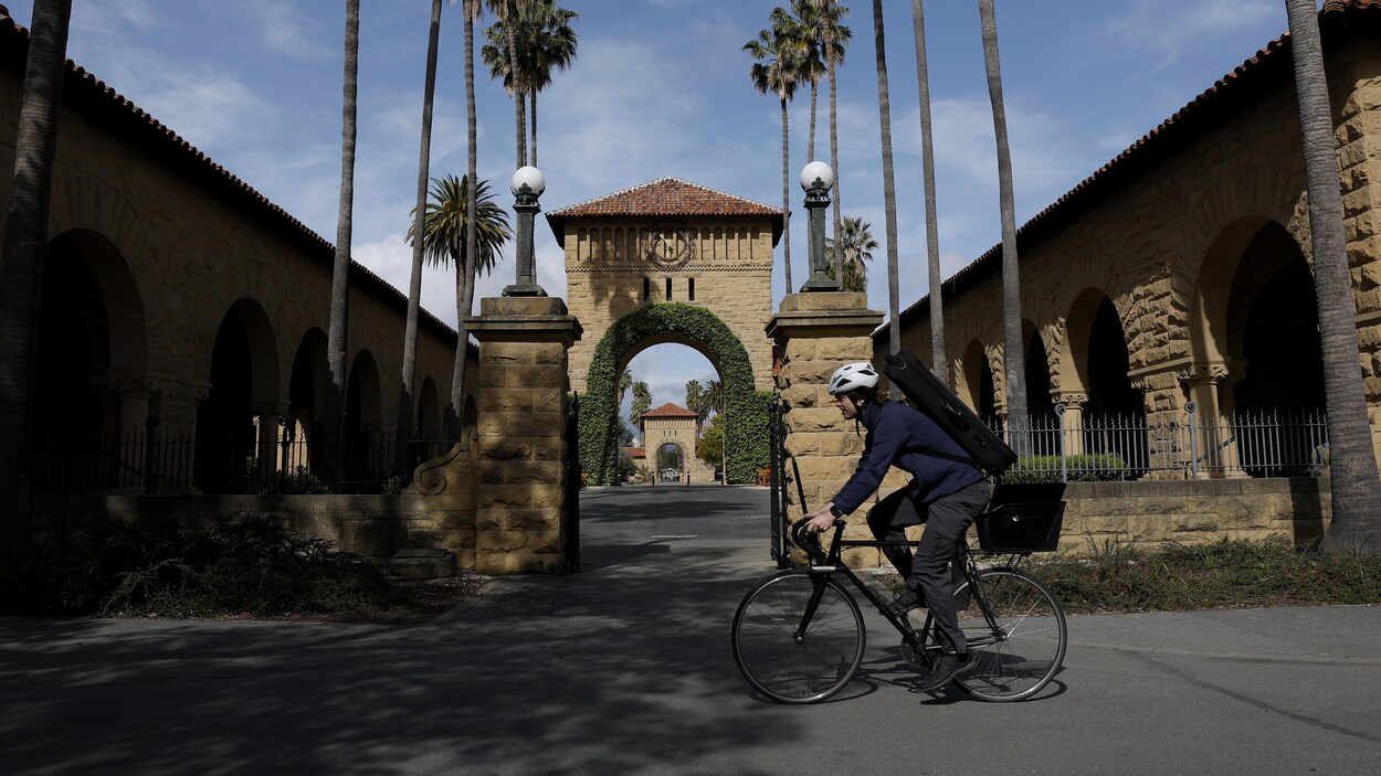 Ritu rai shakespeare