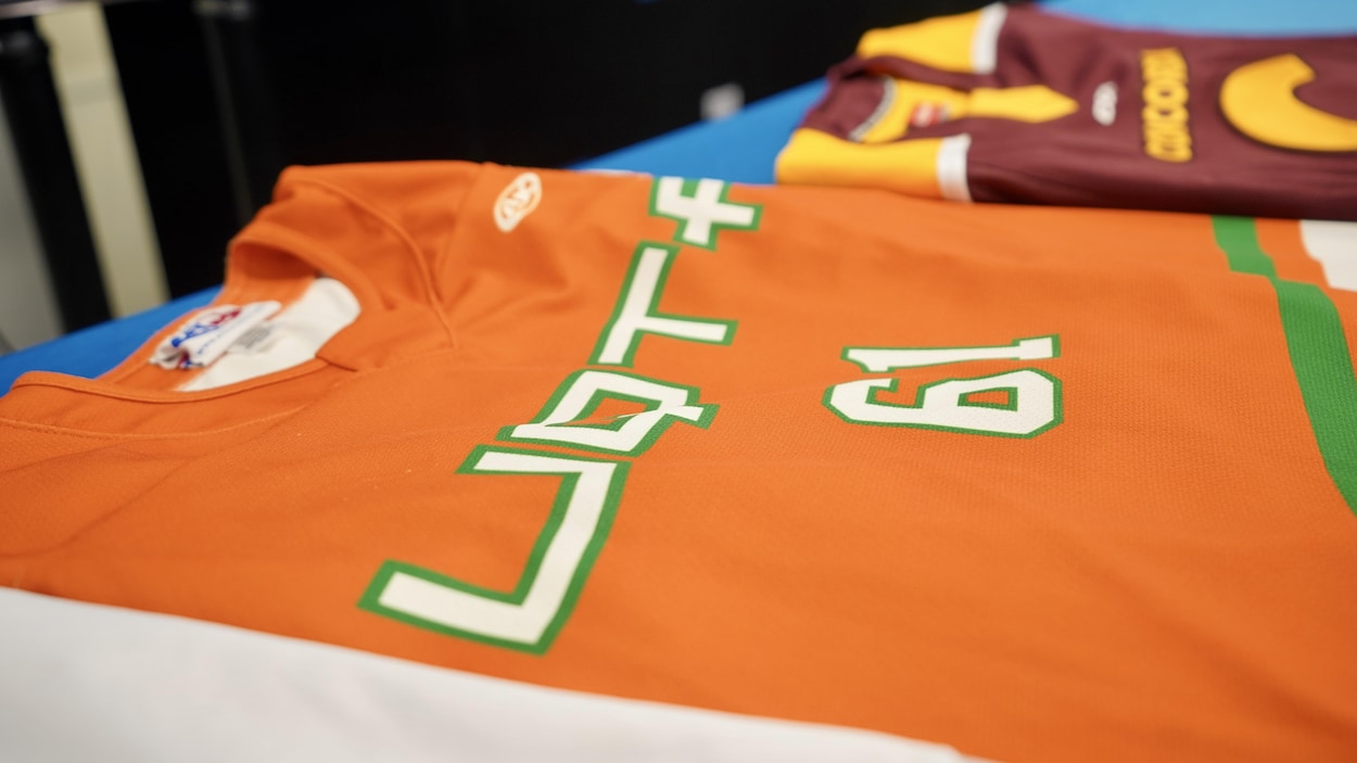 L’UQTR veut un aréna neuf pour l’équipe de hockey des Patriotes