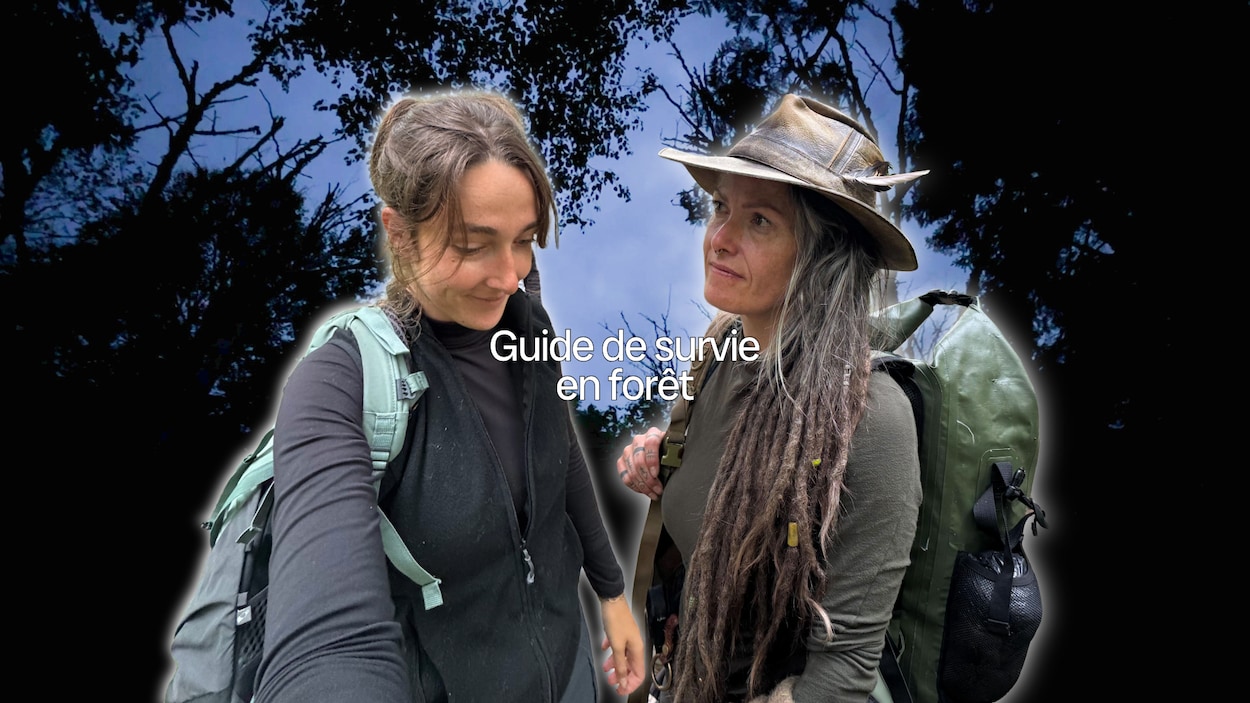Que faut-il savoir si on se perd en forêt?