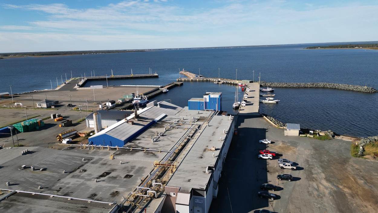 Coop des pêcheurs de l’Île : « personne ne veut vivre ça », dit le ministre D’Amours