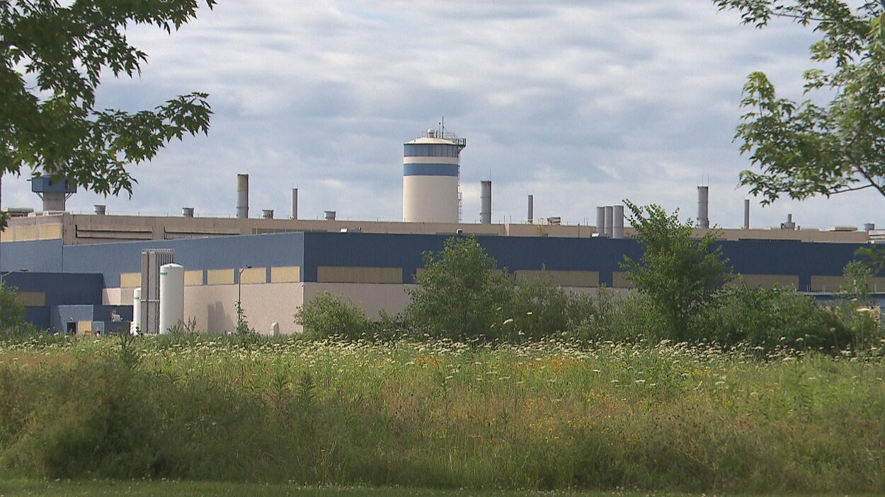L'usine entourée de verdure