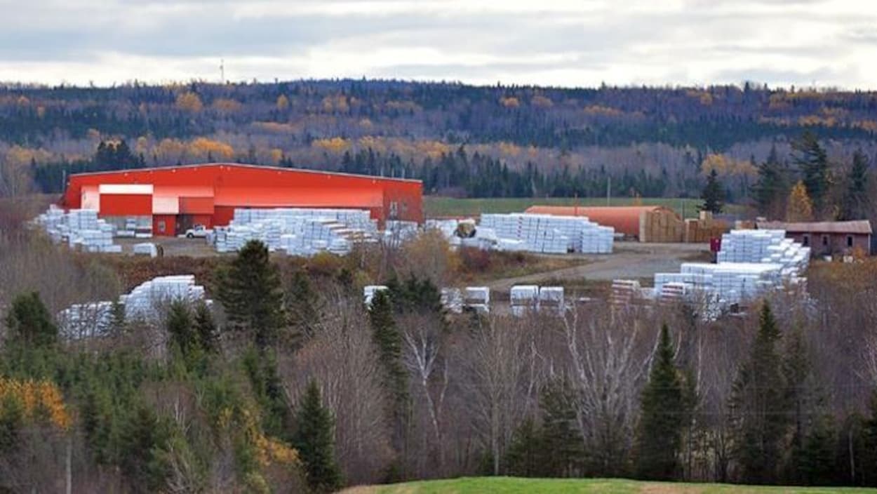 Une scierie ferme ses portes dans le Kamouraska