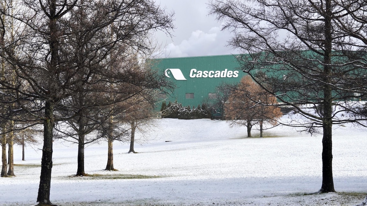 Cascades conclut une transaction de 20 M$ avec Solifor