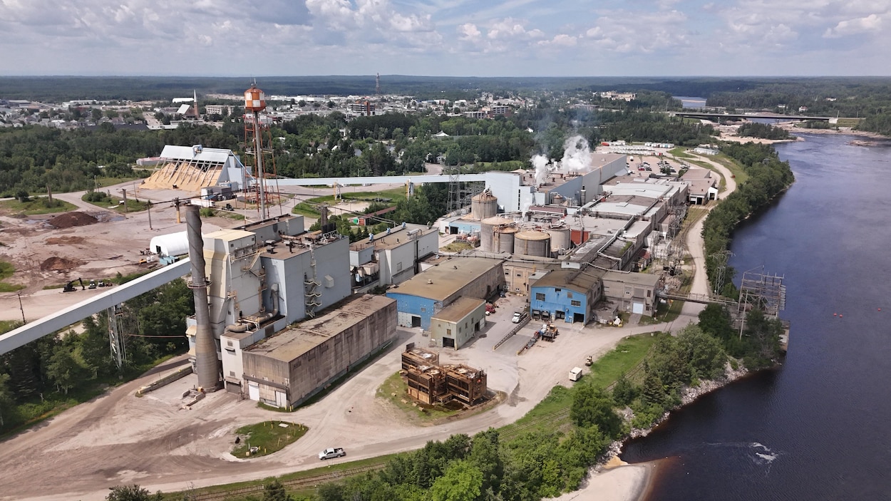 Pâtes et papier : Domtar et Unifor renouvellent les conventions collectives