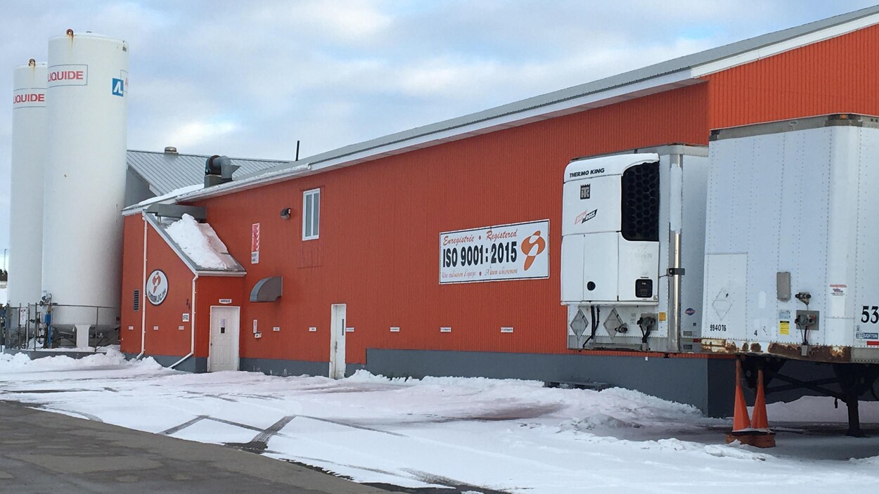 L'usine de transformation de crabe Ichiboshi, à Caraquet, fait travailler environ 400 personnes.