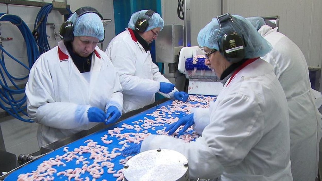 Lent virage vers la modernisation pour l’industrie des pêches