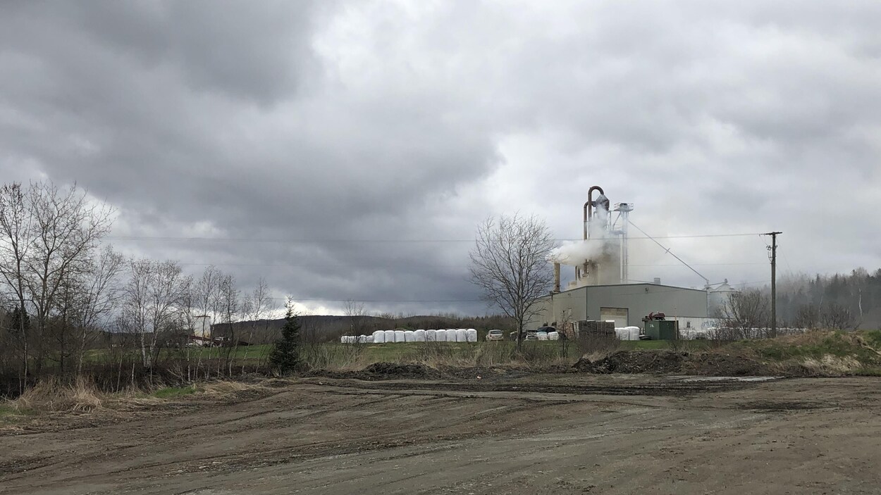 L'usine Nutritec de Saint-François-de-Madawaska, au Nouveau-Brunswick, en mai 2019.