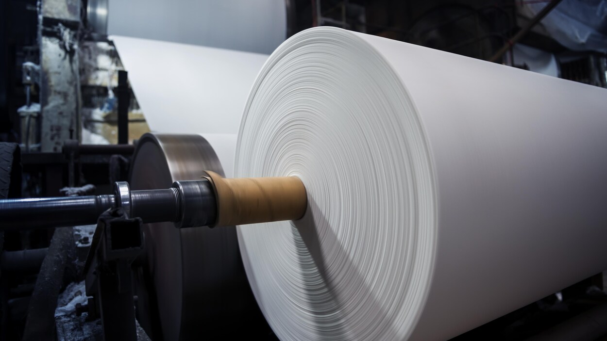 Un rouleau dans une usine de pâtes et papiers