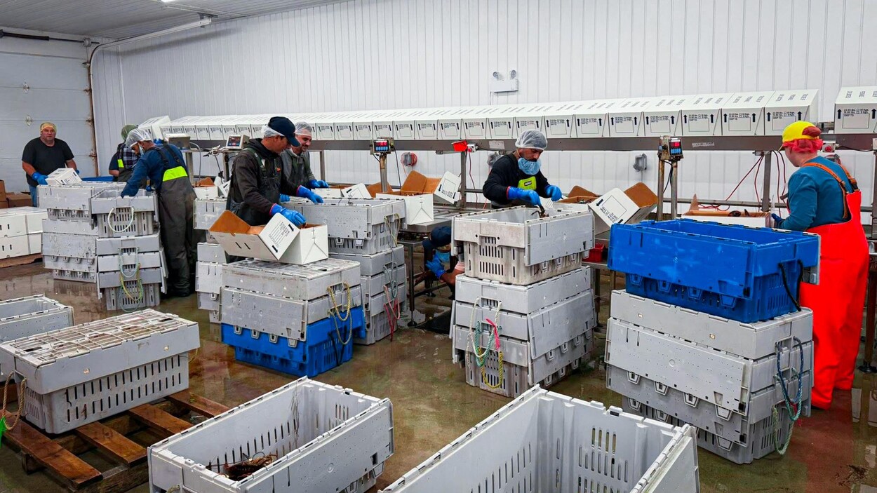Les fermes Belles Amours sanctionnées par le ministère de l'Environnement