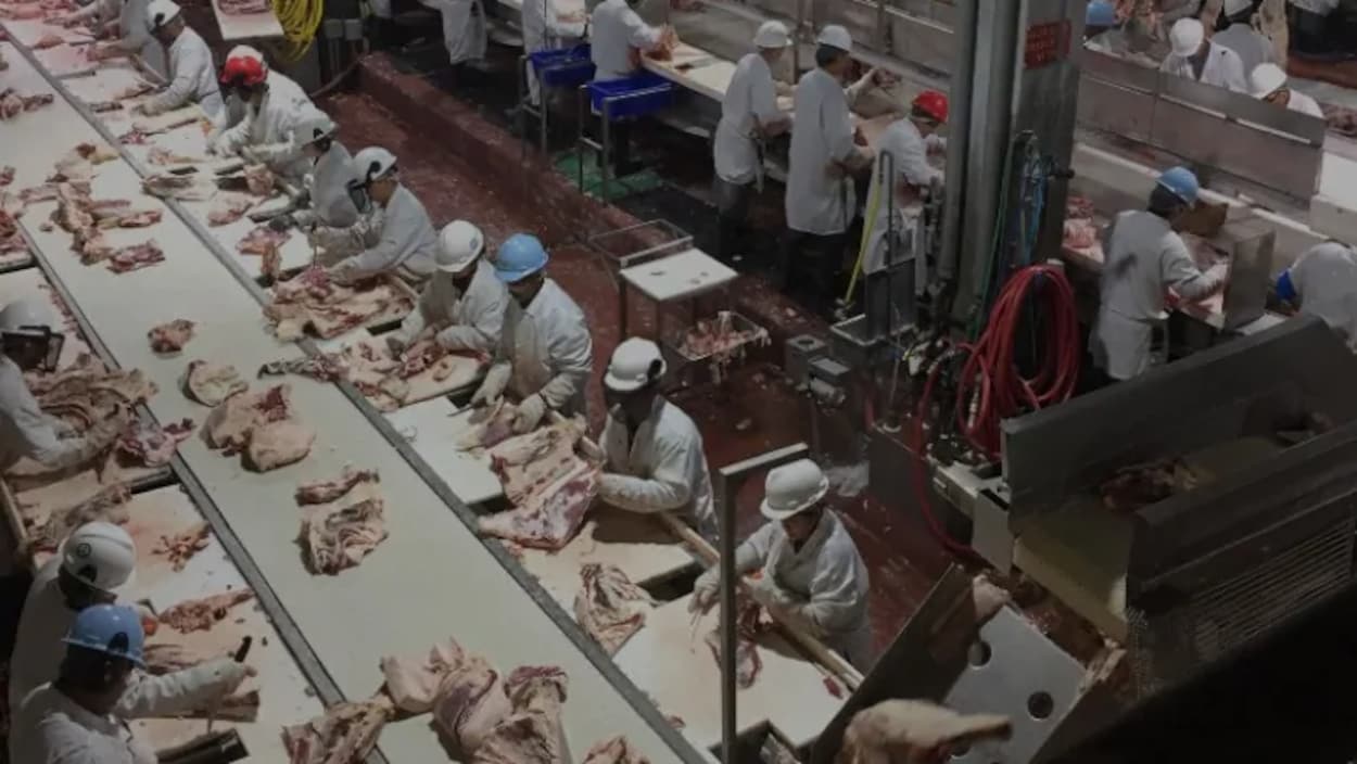 Des travailleurs dans une usine de transformation de viande.