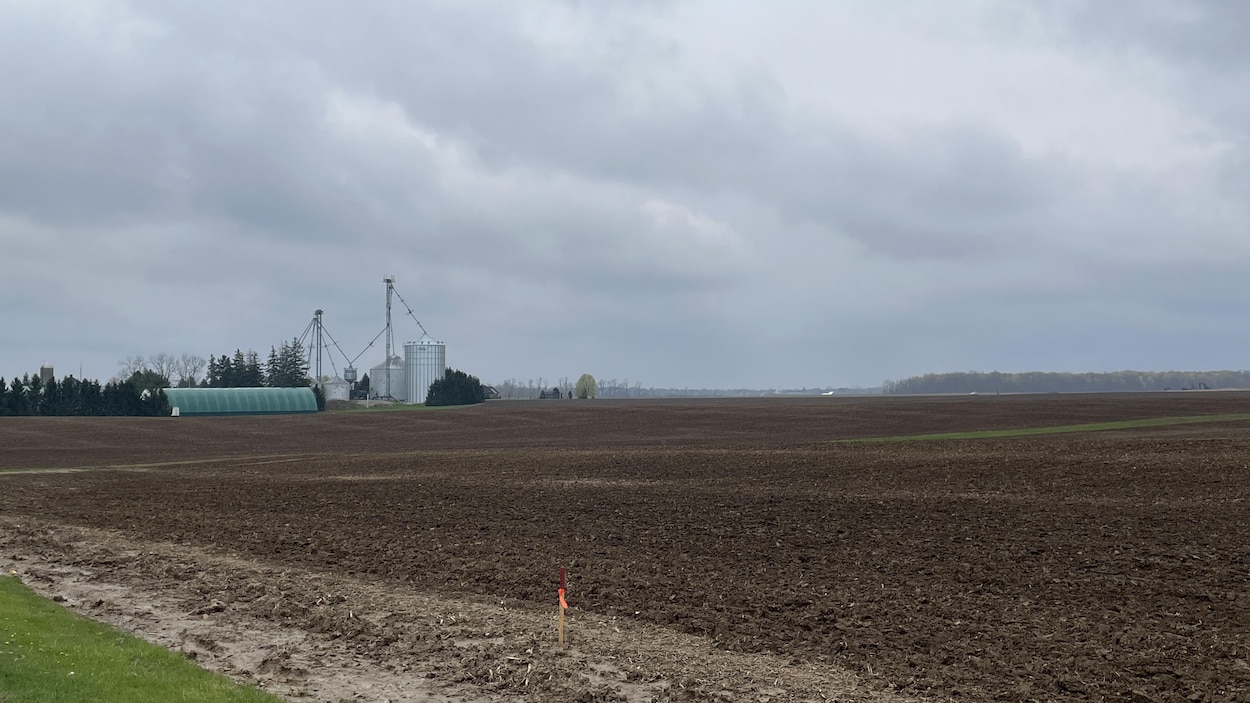 Des terres agricoles avec une ferme en arrière plan.