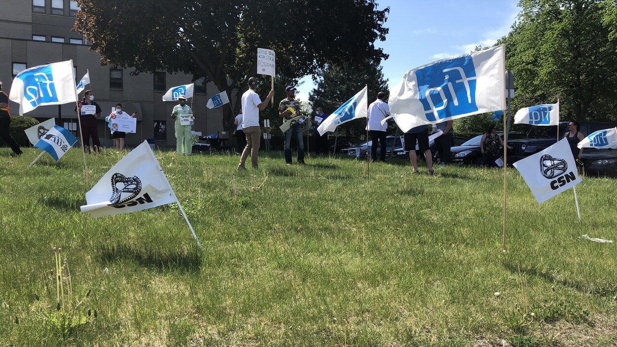 Des manifestants et des pancartes sur du gazon.