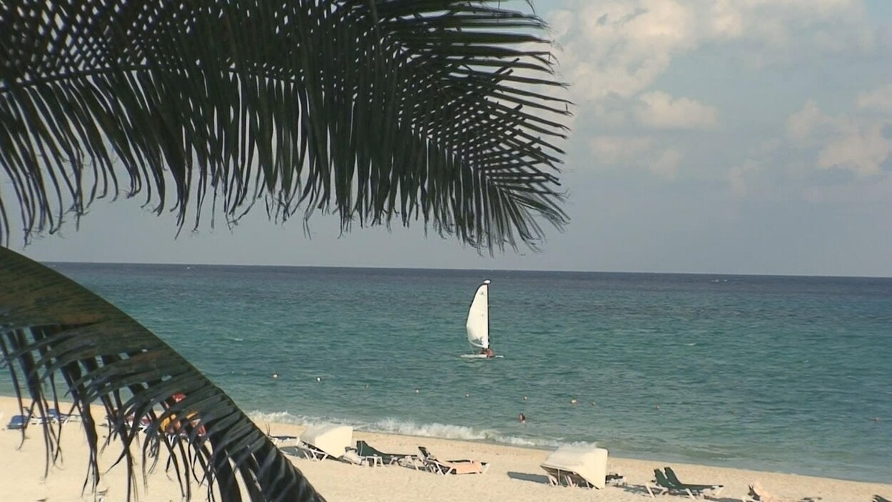 Une plage au soleil avec un voilier à l'horizon.