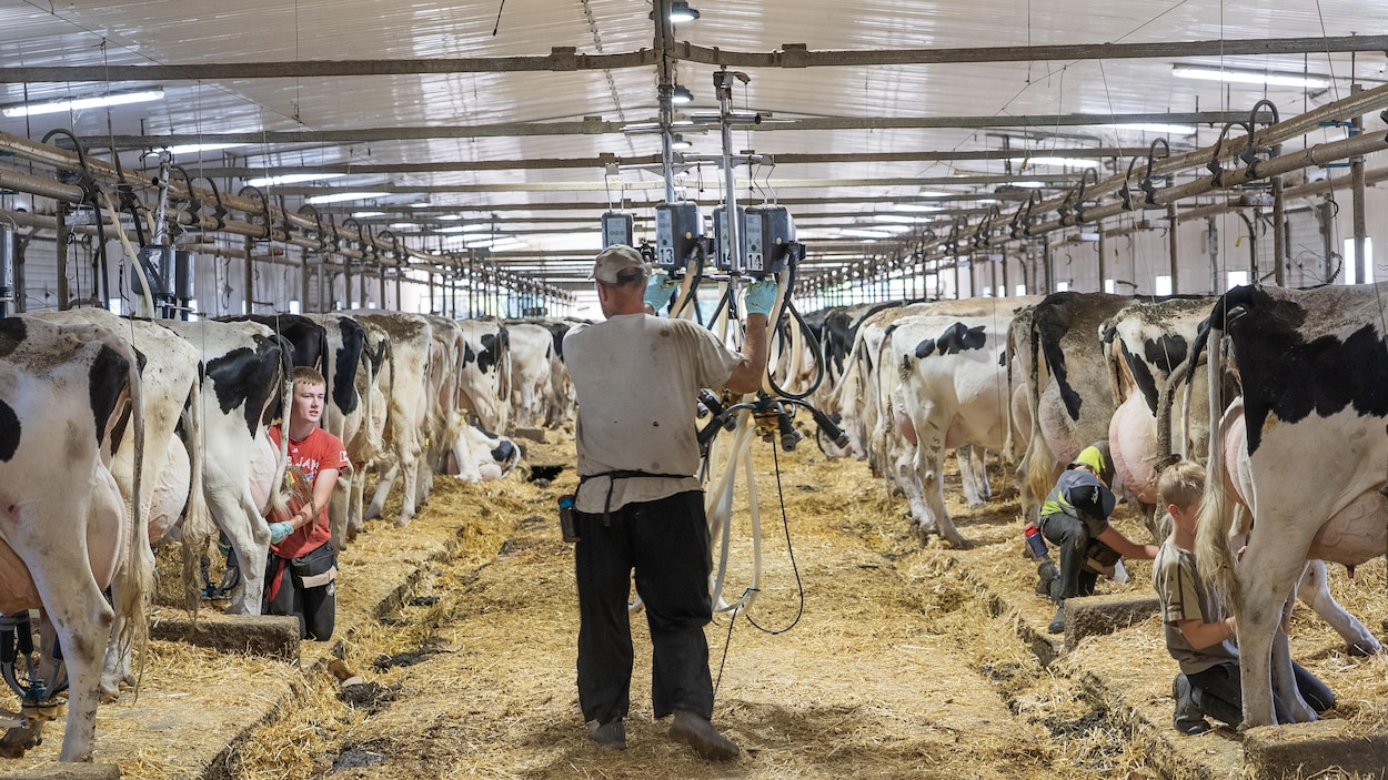 Le métier d’agriculteur dans le sang depuis cinq générations
