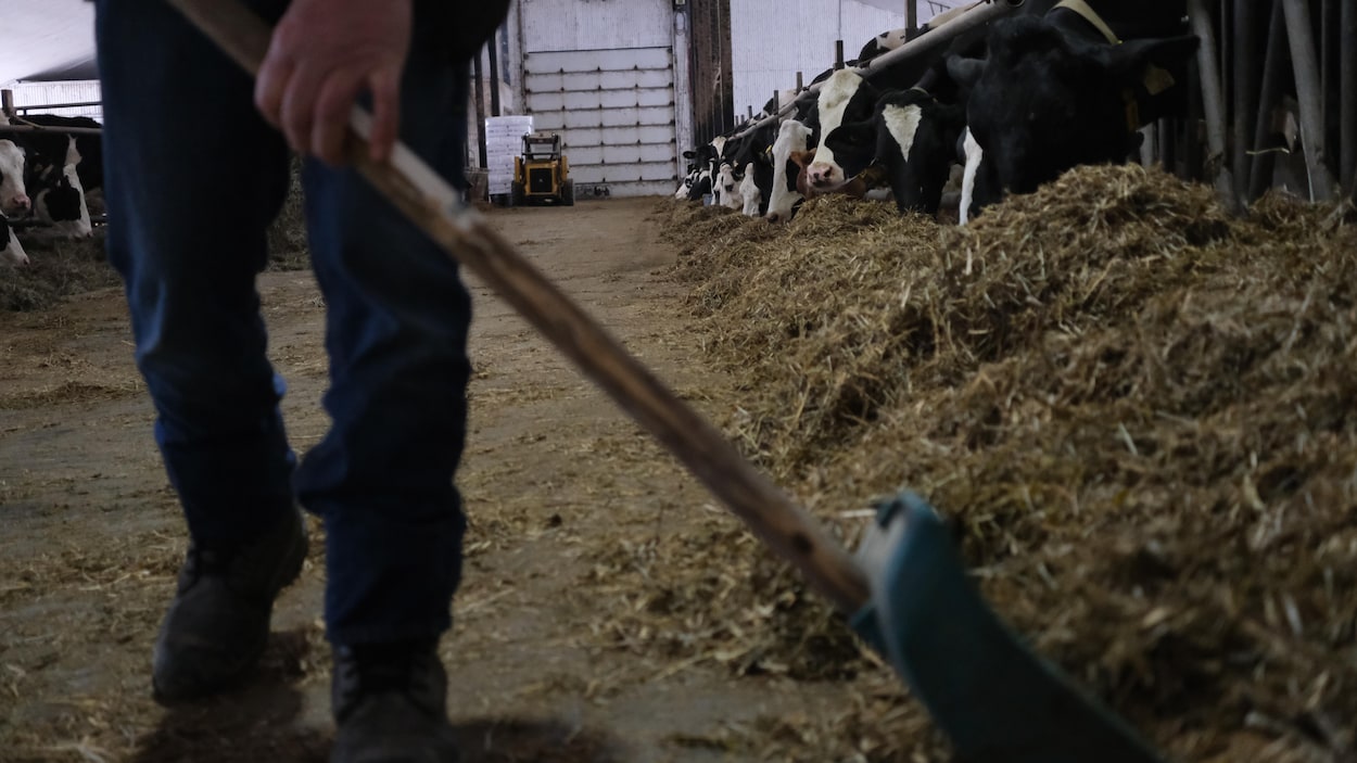 Comment les agriculteurs composent-ils avec le stress?