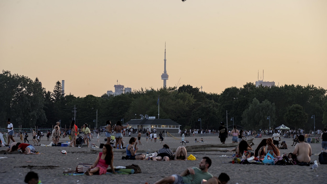 Terrains de volleyball à Woodbine : une ligue se sent « mise hors-jeu » par la Ville