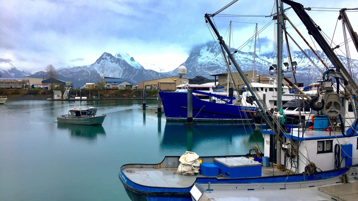 On voit des bateaux de pêche amarrés au port de Valdez. En arrière-plan, on voit les montagnes enneigées.