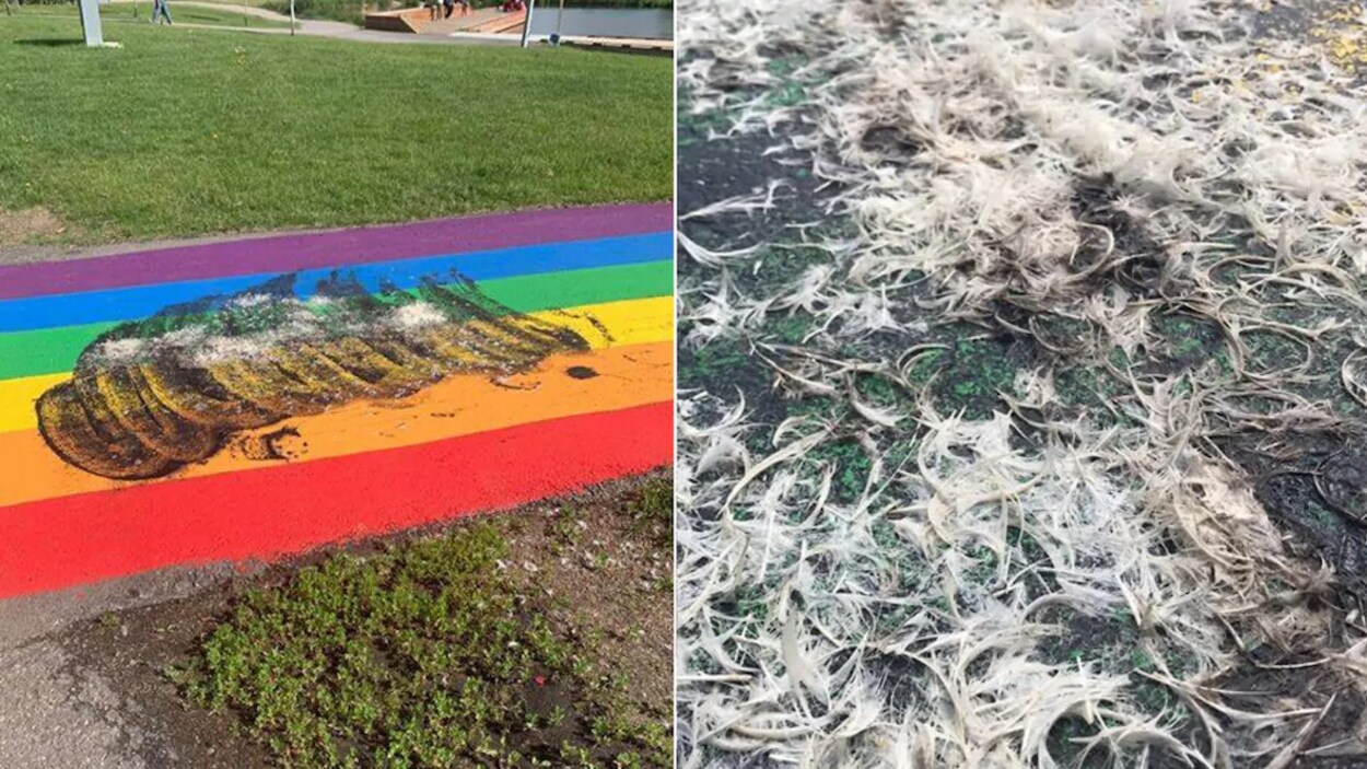 Un sentier aux couleurs de l'arc-en-ciel vandalisé passe entre deux terrains gazonnés.