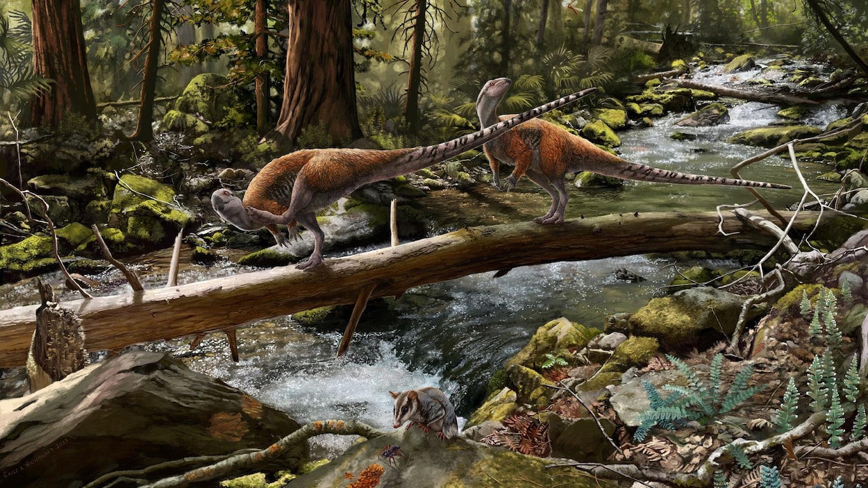 New herbivorous dinosaur discovered in England