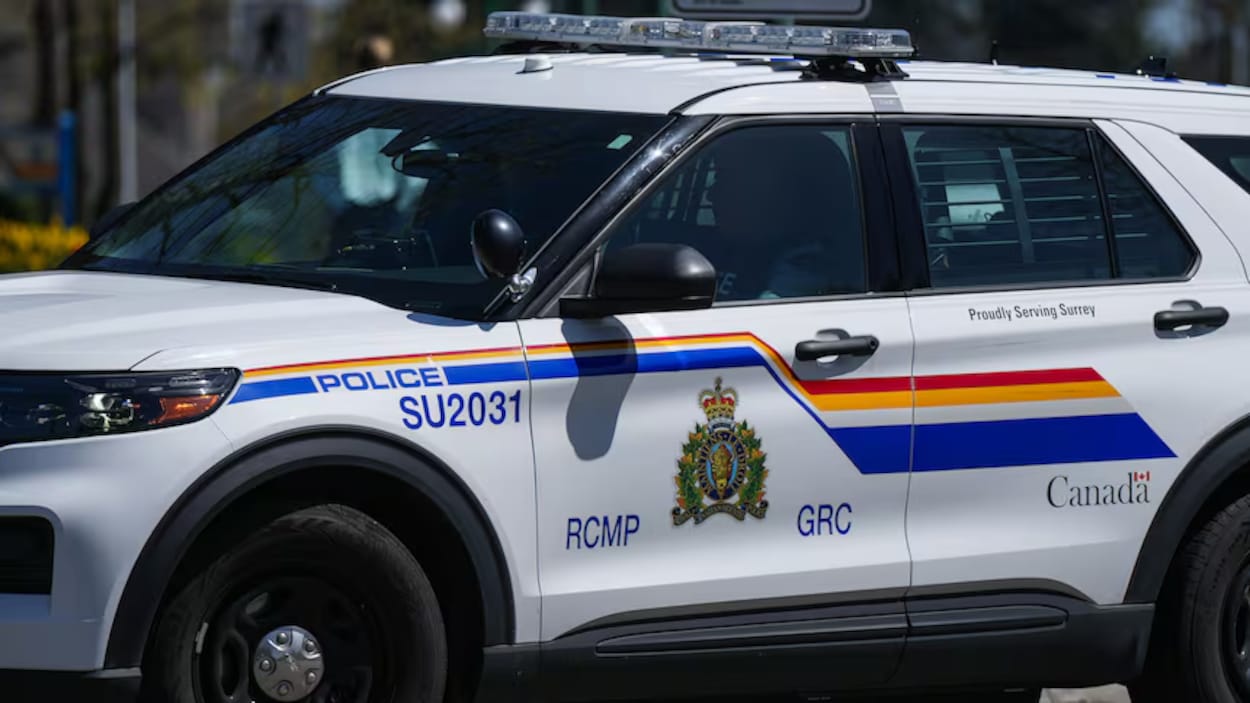 Un propriétaire accusé après une confrontation armée avec des voleurs allégués