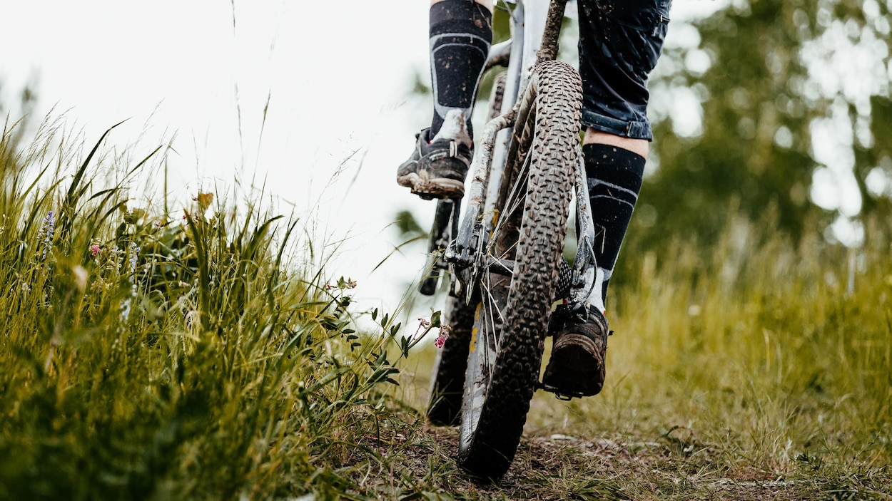 Un gros plan sur une roue de vélo.