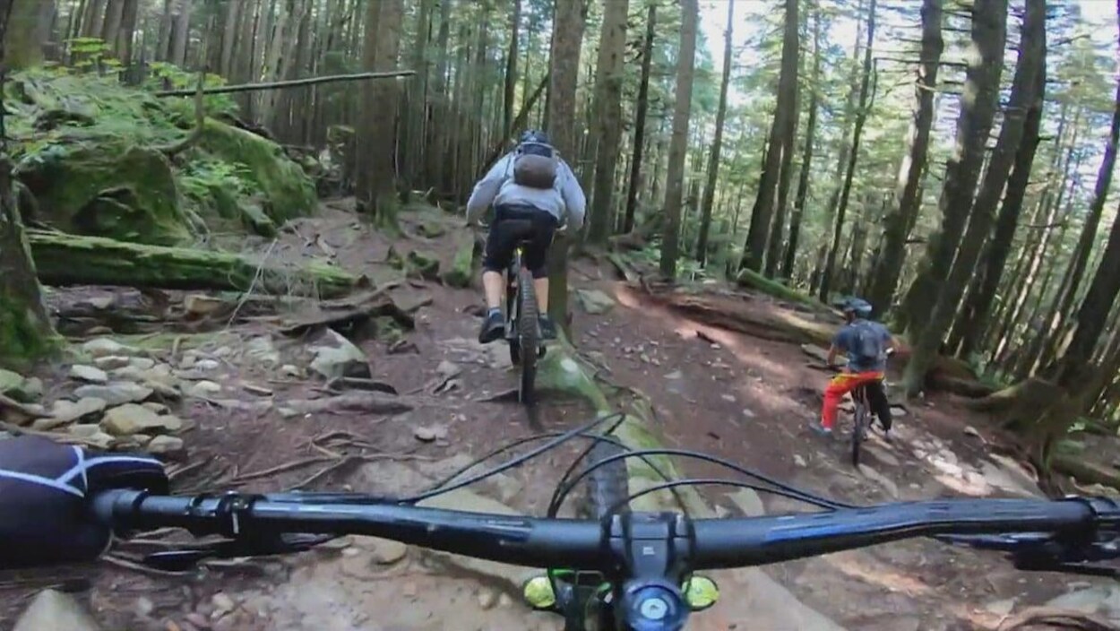 Vue sur un guidon de vélo dans une forêt.