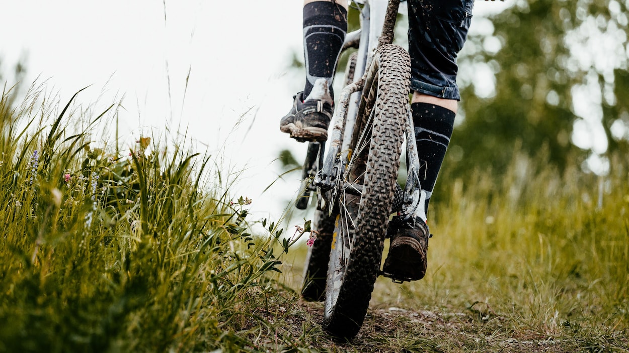 Un gros plan sur une roue de vélo.