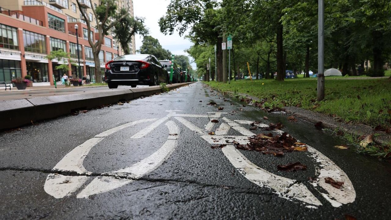 Halifax à vélo : pourquoi les accidents se multiplient?