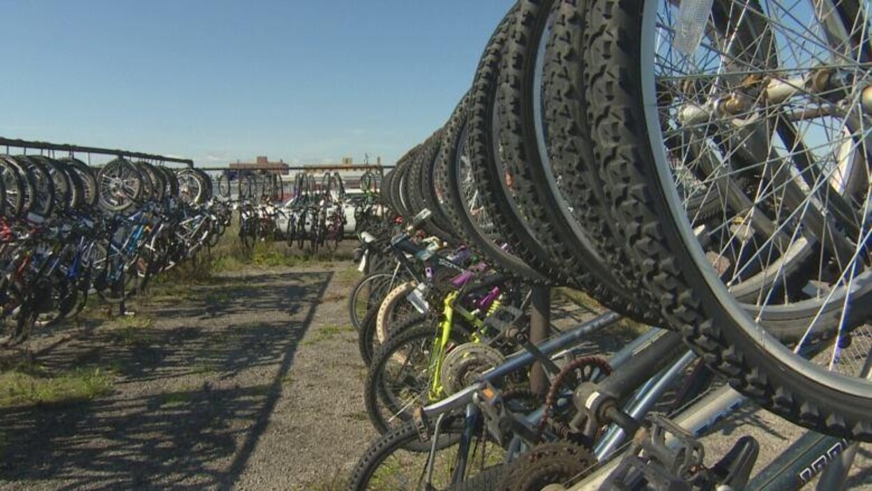 Des rangées de vélos accrochés à des supports à vélos installés à l'extérieur.