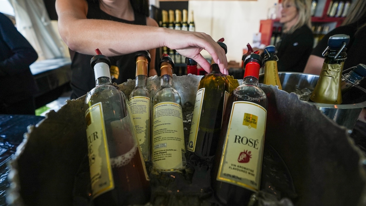 Produire du vin dans un climat changeant à la Fête des Vendanges