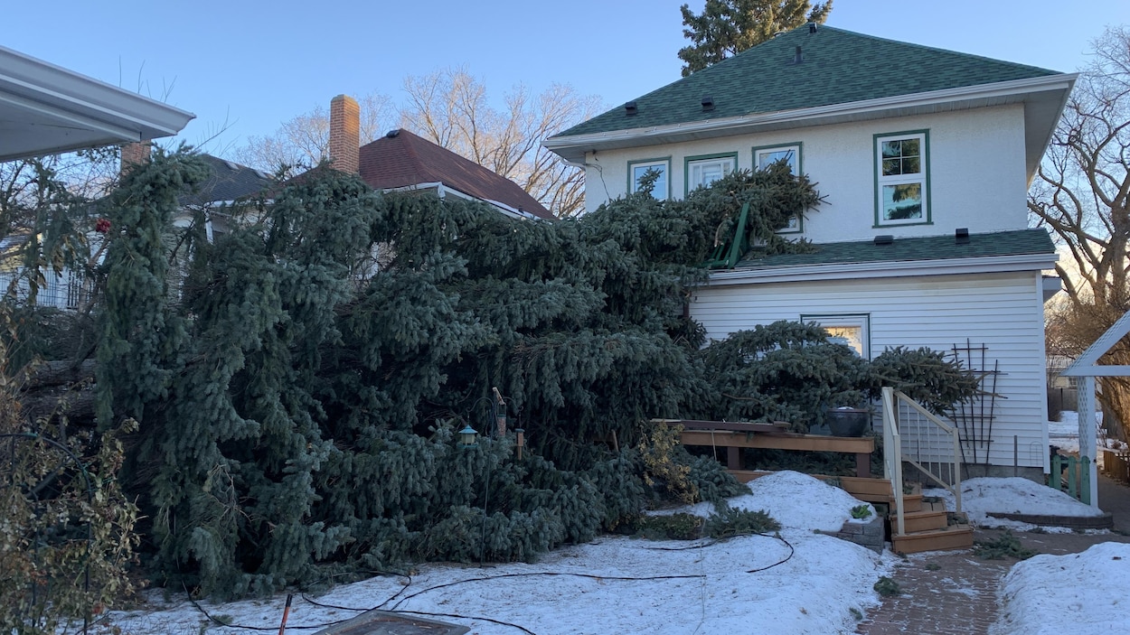 Une violente tempête pourrait balayer le centre-est et le sud-est de l’Alberta