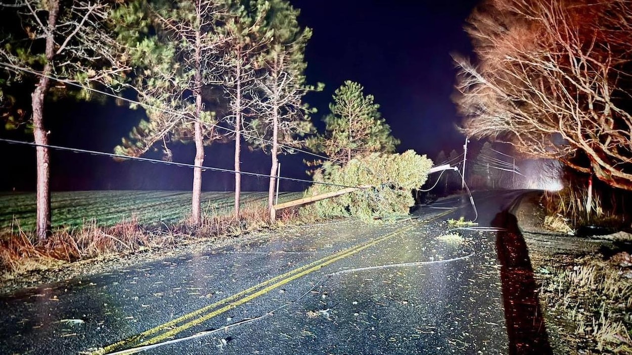 Deux jours après le mauvais temps, 10 000 foyers ne sont pas rebranchés dans les Maritimes