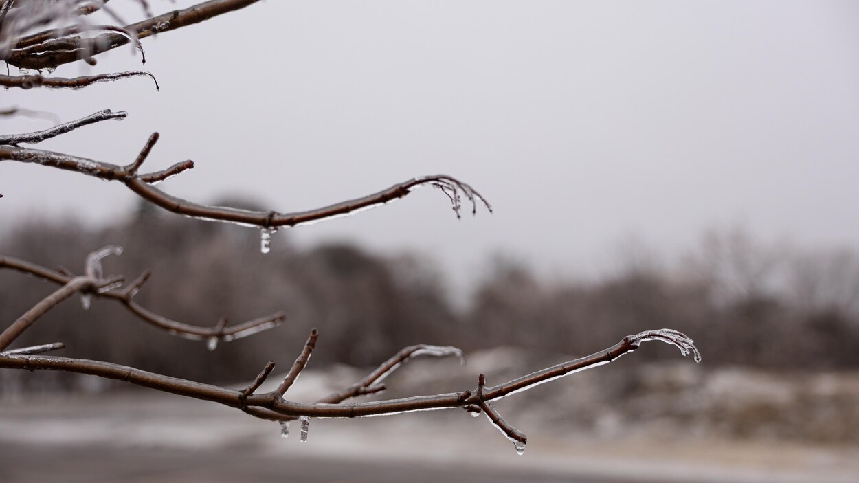 Un mélange de précipitations hivernales pour entamer avril dans les Maritimes