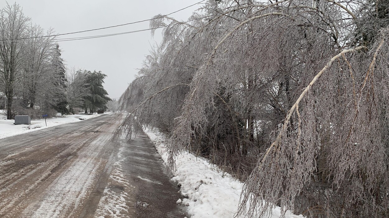 Pluie verglaçante pannes de courant et routes glissantes par endroits en Atlantique RadioCanada