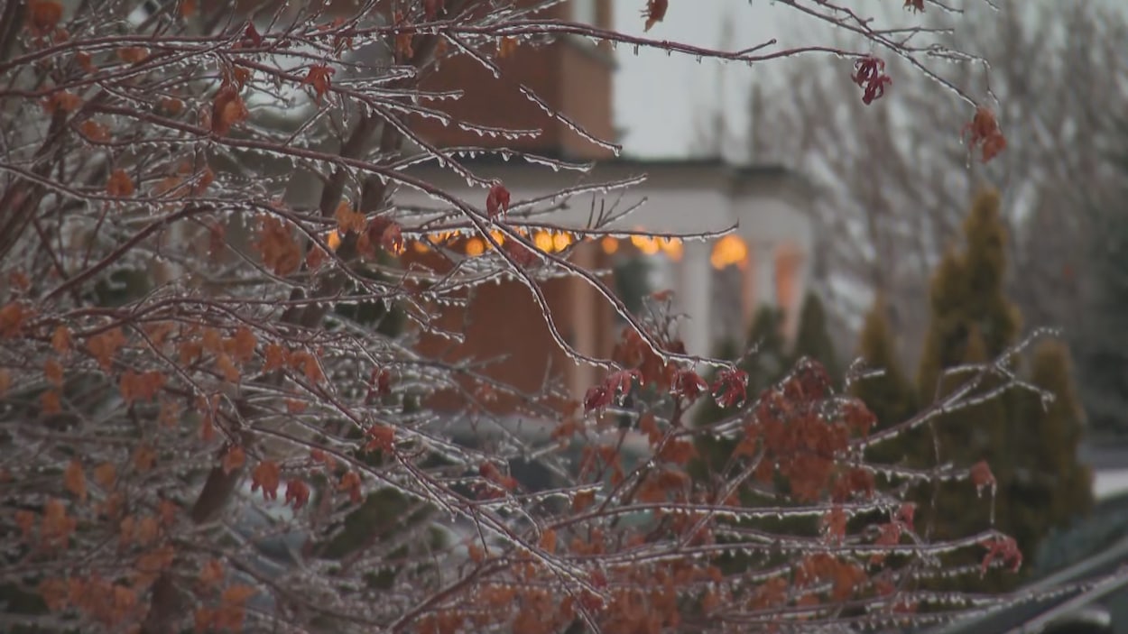 Tempête en Ontario : des milliers de personnes sont toujours sans électricité