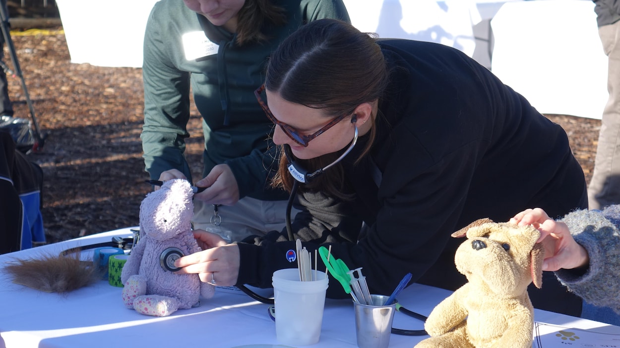 Des vétérinaires examinent les animaux en peluche des enfants au zoo de Calgary