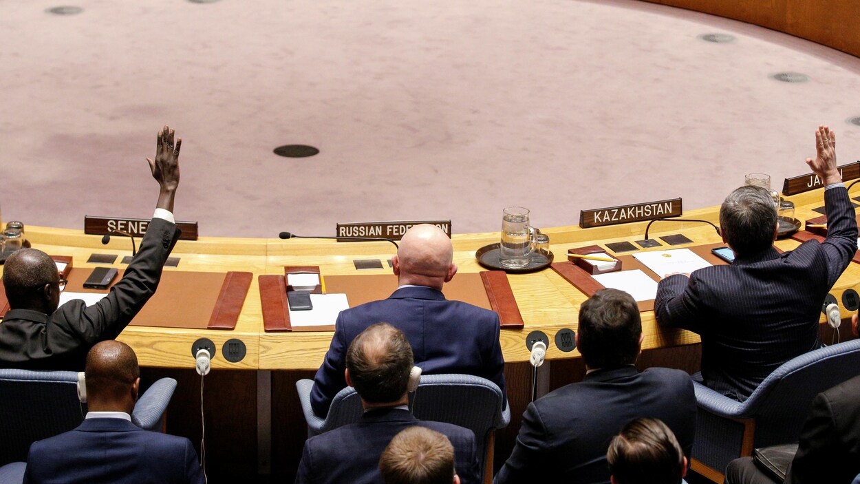 C’est le second veto de la Russie en 24 heures sur une résolution pour maintenir les activités du Mécanisme d'enquête conjoint de l’OIAC. C’est le second veto de la Russie en 24 heures sur une résolution pour maintenir les activités du Mécanisme d'enquête conjoint de l’OIAC.