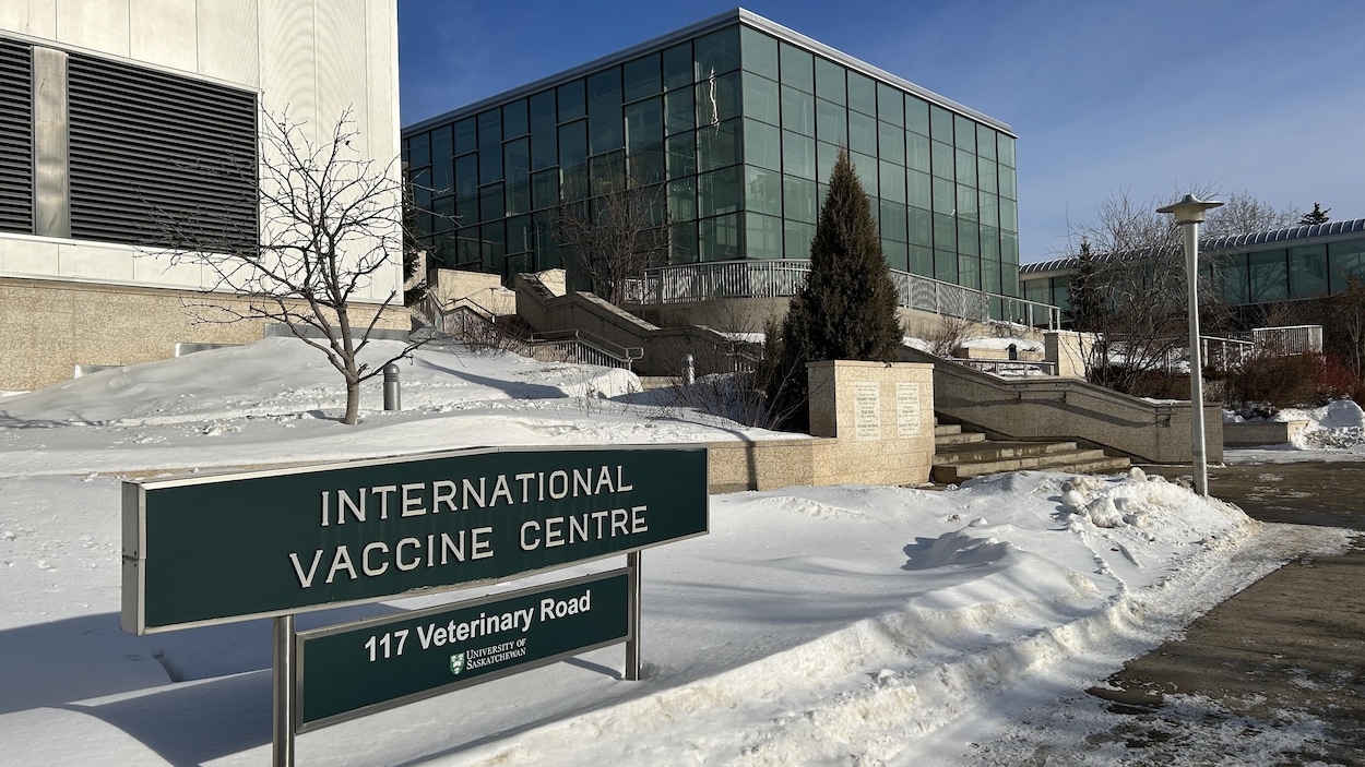 Le centre VIDO au cœur de la recherche sur l’hantavirus
