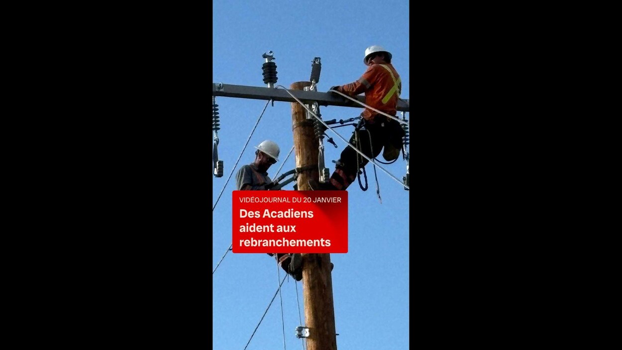 Des monteurs de lignes acadiens en Jamaïque