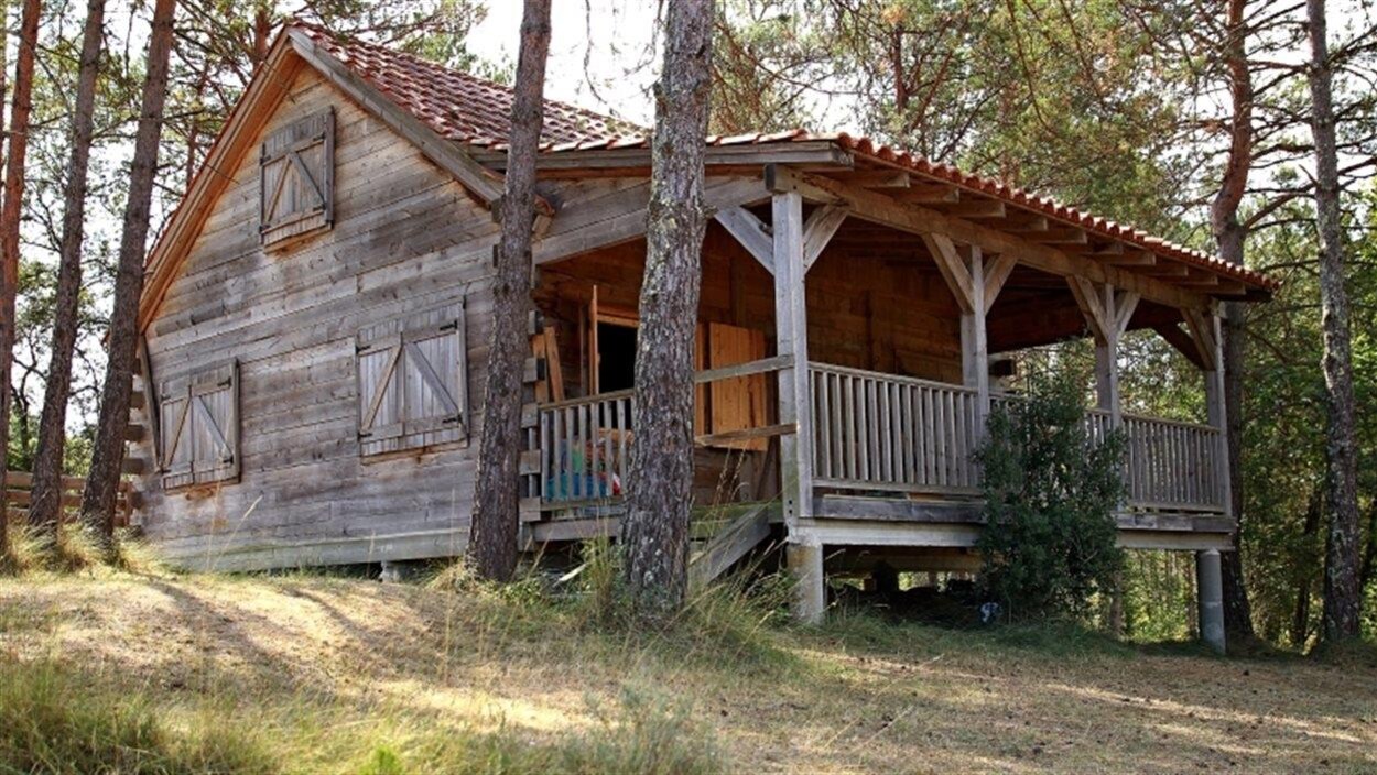 Chalet en pleine nature Chalet en pleine nature