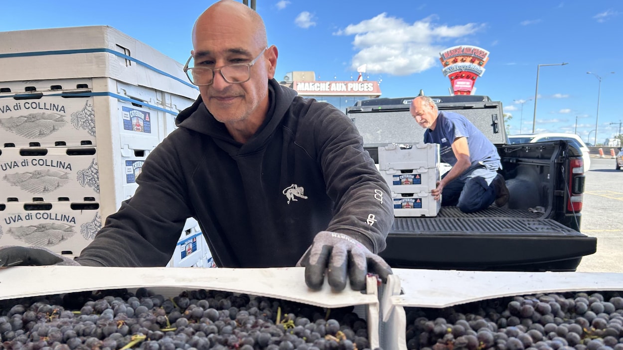 À Montréal, la tradition du vin maison se transmet de génération en génération