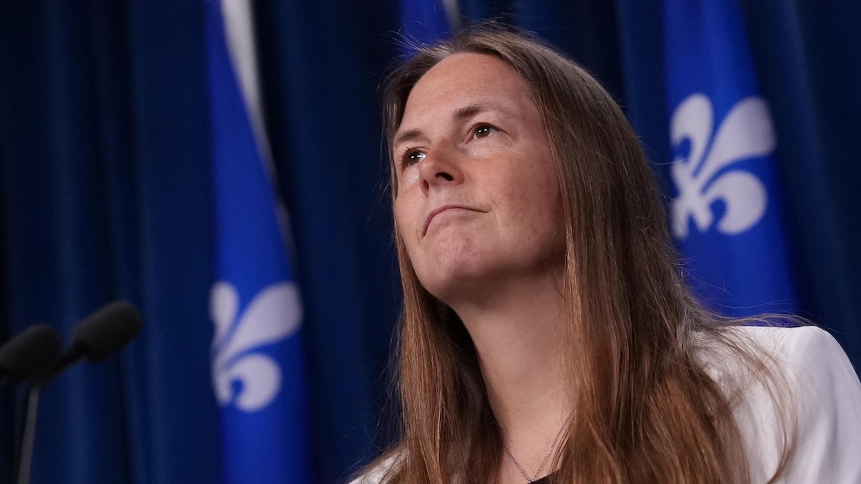 Onze candidats du PLQ ont déjà contribué à d’autres partis