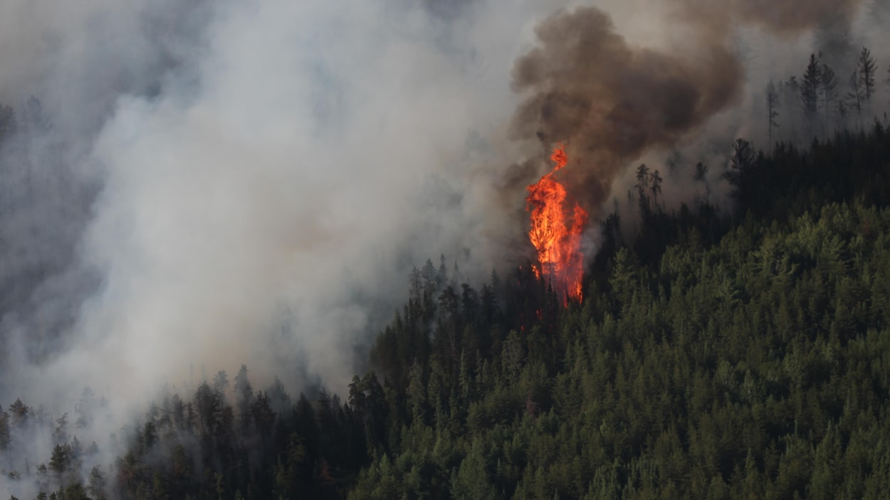 Un premier feu de forêt actif en Ontario