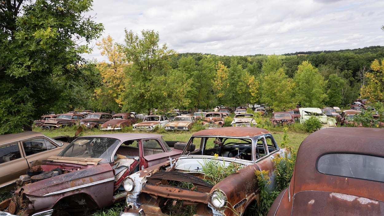 [En images] La colonie de voitures qui peuple la colline de Saint-Lupicin