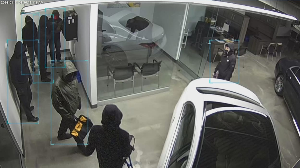 Des voleurs dérobent 8 voitures de sport dans un magasin