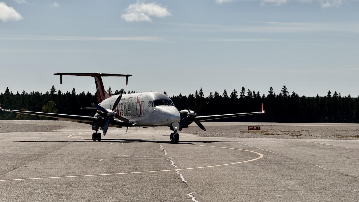 Air Liaison conteste son exclusion du PAAR et maintient ses vols à prix réduits