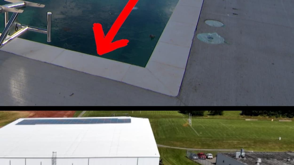 Une belle piscine flambant neuve… mais trop courte!