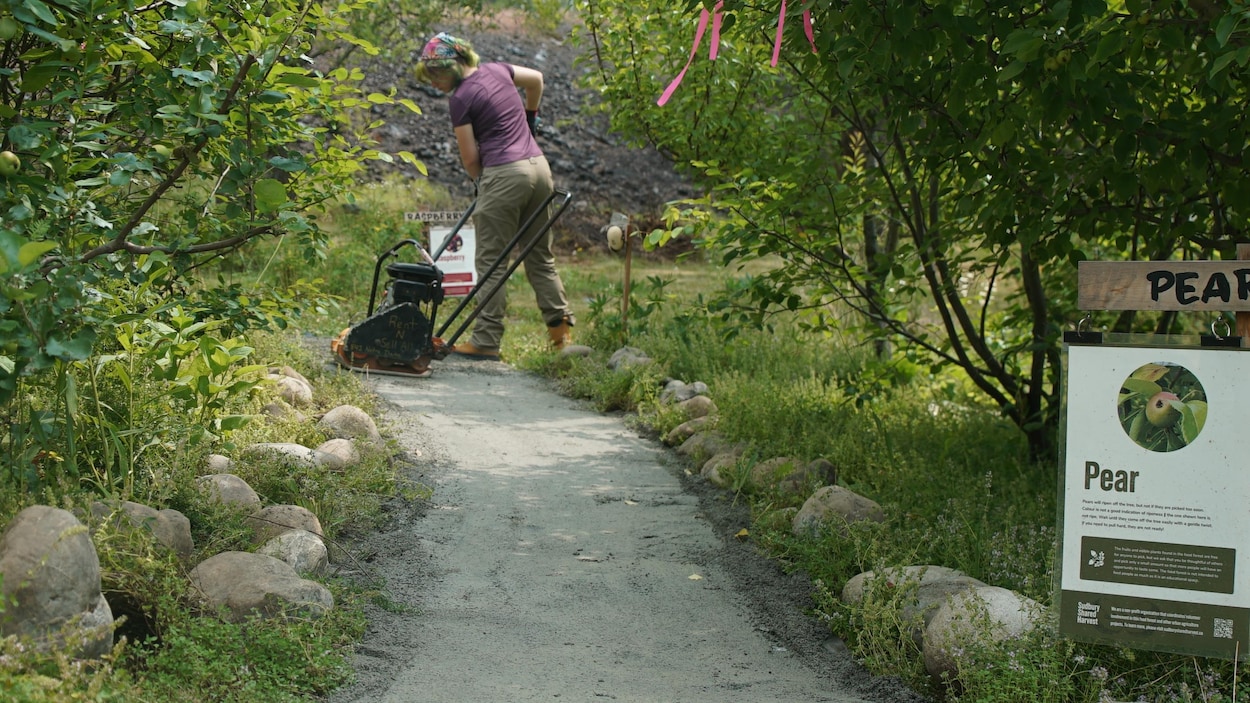 Un sentier pour faciliter l’accès à la forêt nourricière du parc Delki Dozzi