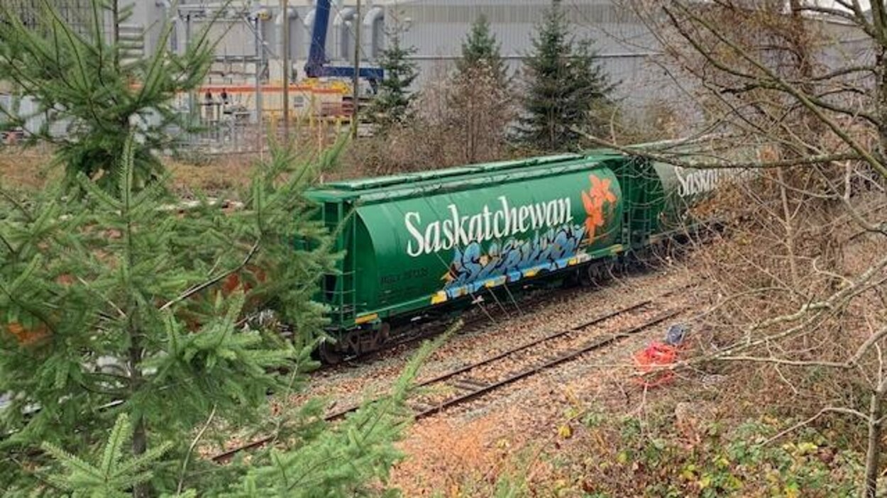 Des wagons de marchandises sur lesquels est indiqué le nom de la Saskatchewan sont garés sur une voie ferrée en Colombie-Britannique.