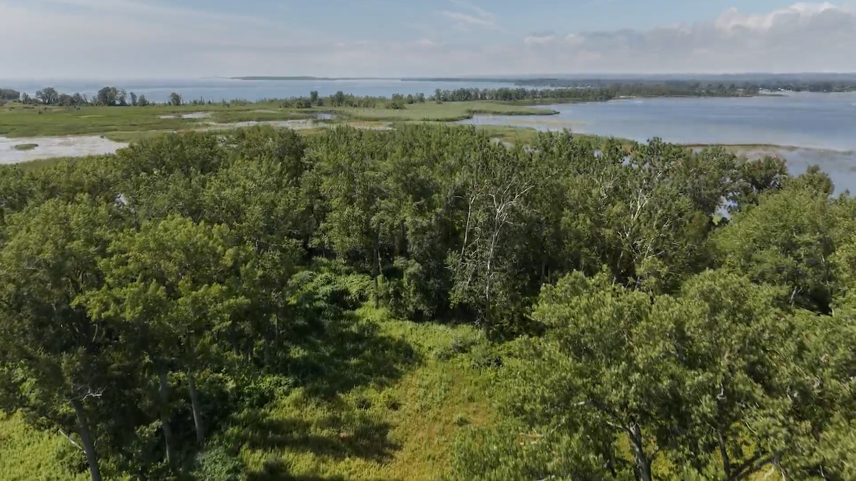 La péninsule interdite : voyage au cœur de la baie de Wellers